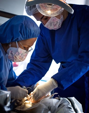 mejores odontologias bogota, servicios de odontologia general, odontologia general y especializada